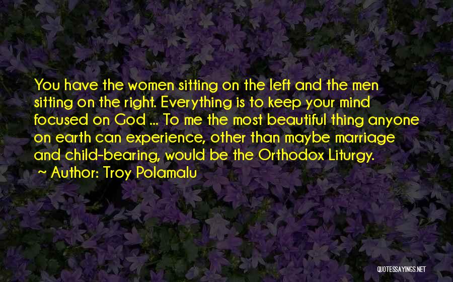 Polamalu Quotes By Troy Polamalu