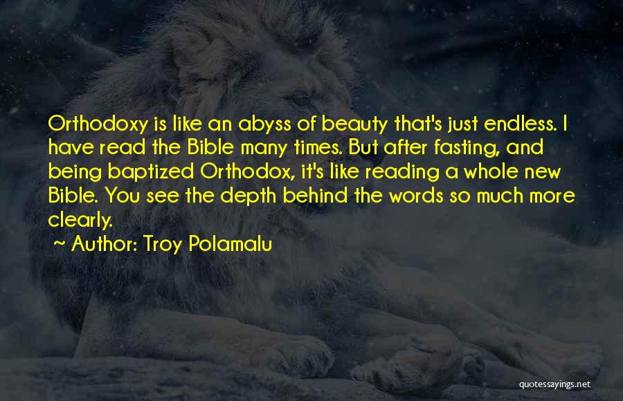 Polamalu Quotes By Troy Polamalu