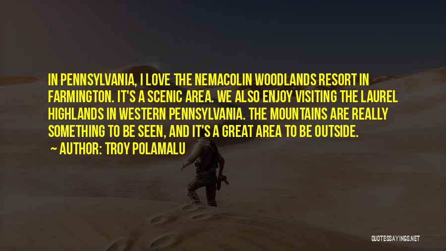 Polamalu Quotes By Troy Polamalu