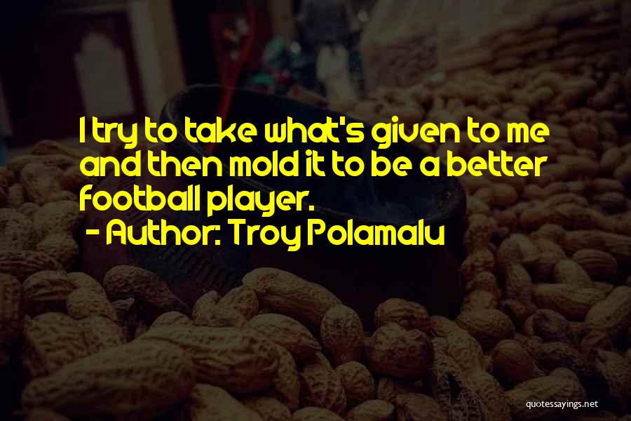 Polamalu Quotes By Troy Polamalu