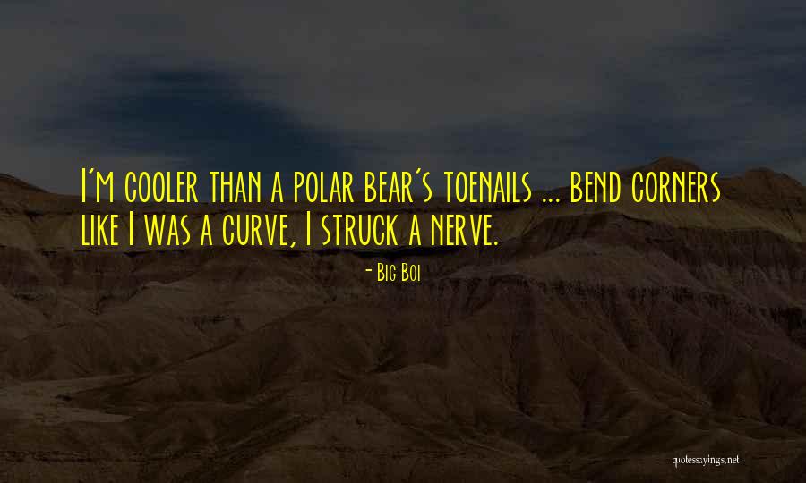 Polar Bear Quotes By Big Boi Polar Bear Quotes By Big Boi