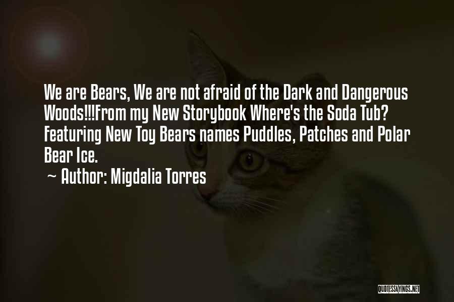 Polar Quotes By Migdalia Torres