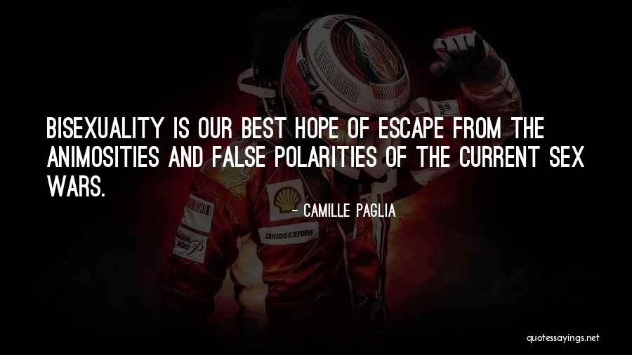 Polarities Quotes By Camille Paglia Polarities Quotes By Camille Paglia