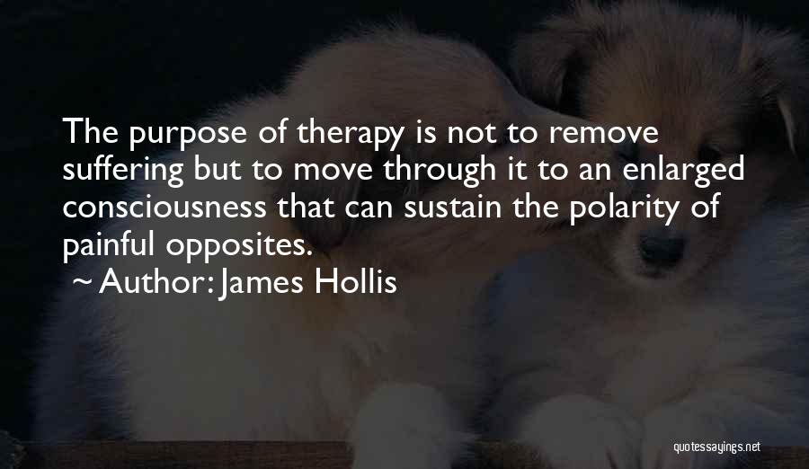 Polarity Quotes By James Hollis