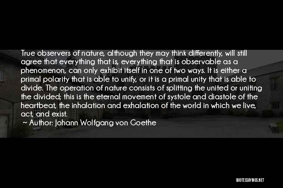 Polarity Quotes By Johann Wolfgang Von Goethe