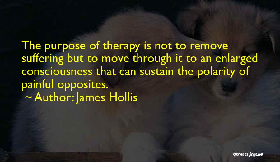 Polarity Therapy Quotes By James Hollis