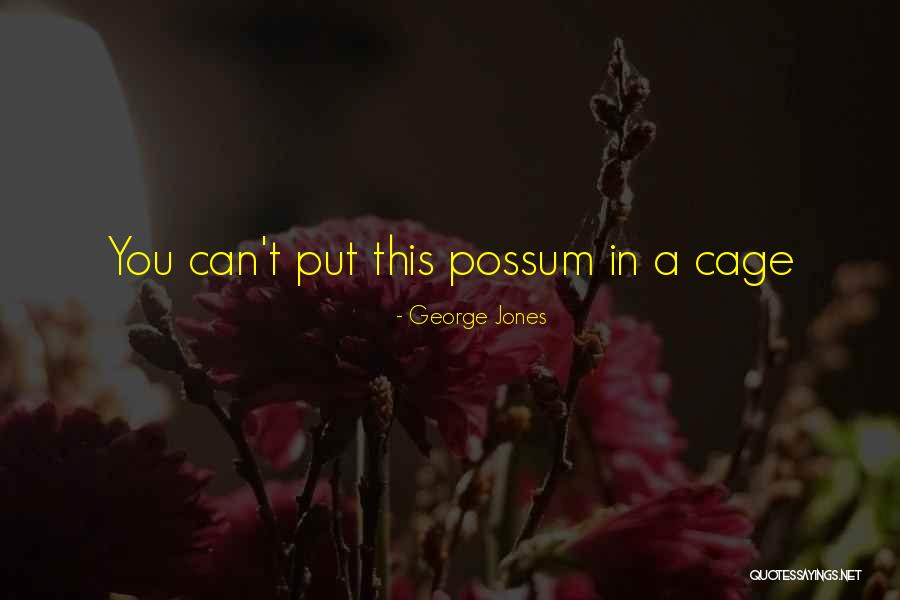 Polarizar Ventanas Quotes By George Jones Polarizar Ventanas Quotes By George Jones