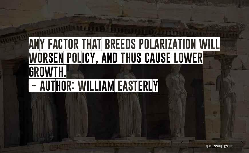 Polarization Quotes By William Easterly