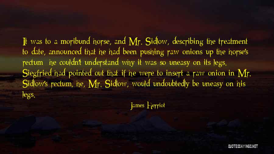Polchow Foundation Quotes By James Herriot Polchow Foundation Quotes By James Herriot