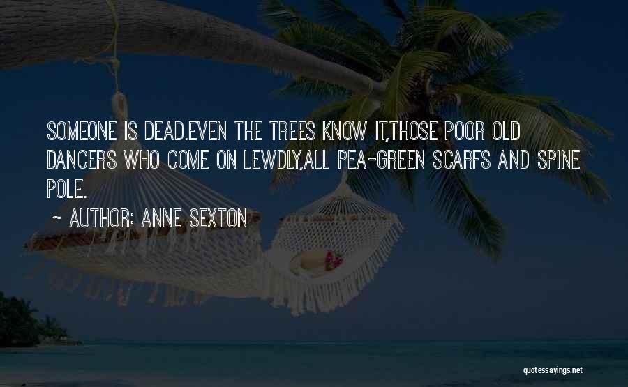 Pole Dancers Quotes By Anne Sexton
