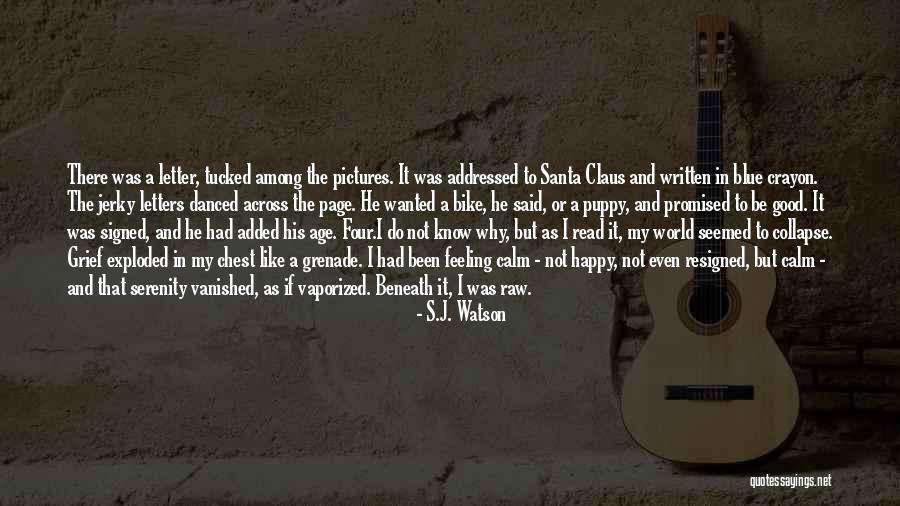 Polearm Mastery Quotes By S.J. Watson Polearm Mastery Quotes By S.J. Watson