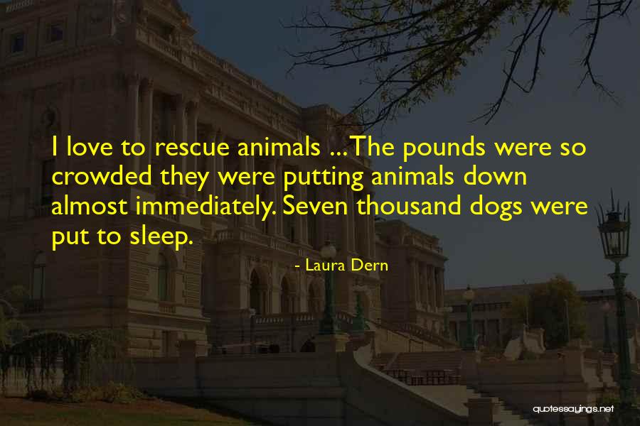 Poleaxe Diablo Quotes By Laura Dern Poleaxe Diablo Quotes By Laura Dern