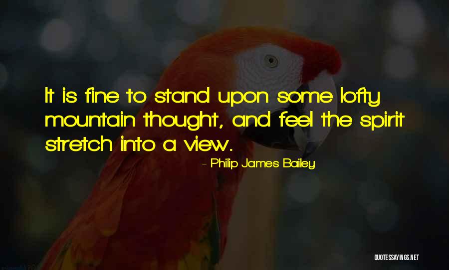 Polemica Definicion Quotes By Philip James Bailey