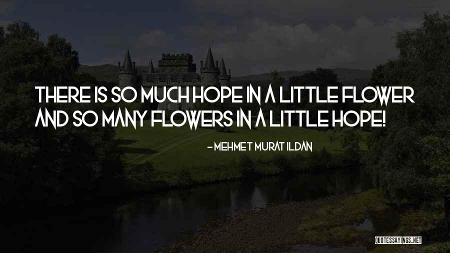 Polemics Vs Apologetics Quotes By Mehmet Murat Ildan Polemics Vs Apologetics Quotes By Mehmet Murat Ildan