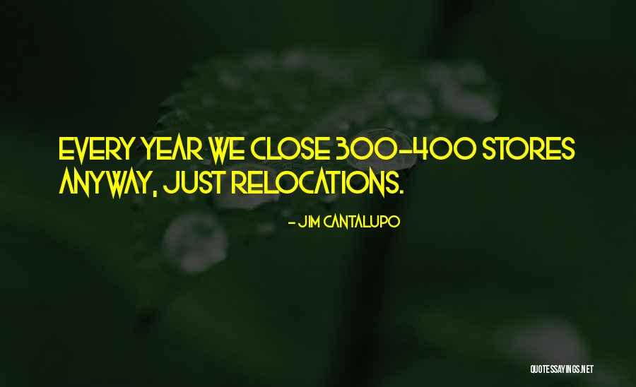 Polenza Gazebo Quotes By Jim Cantalupo