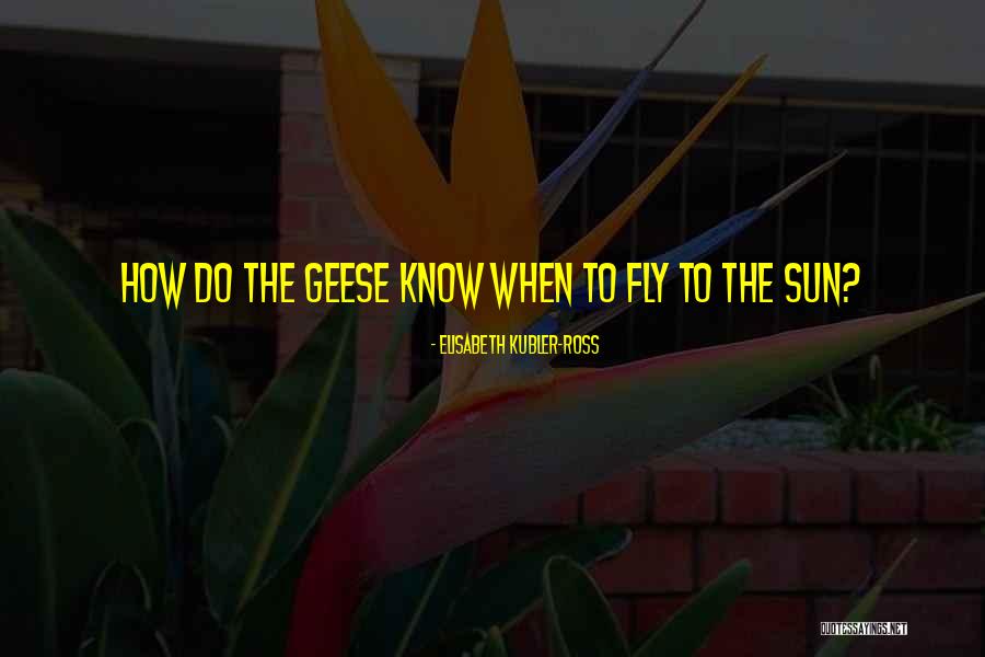 Poleon Virgin Quotes By Elisabeth Kubler-Ross Poleon Virgin Quotes By Elisabeth Kubler-Ross