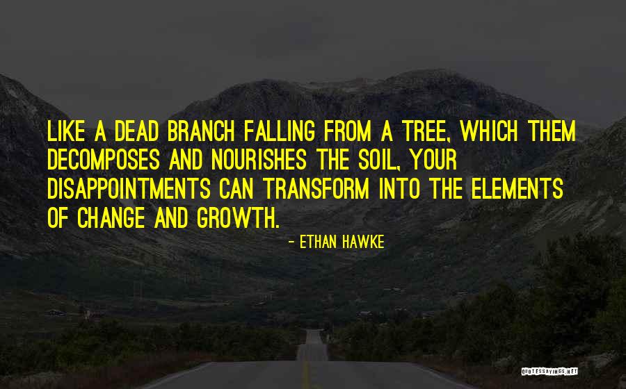 Police Academy Proctor Quotes By Ethan Hawke Police Academy Proctor Quotes By Ethan Hawke