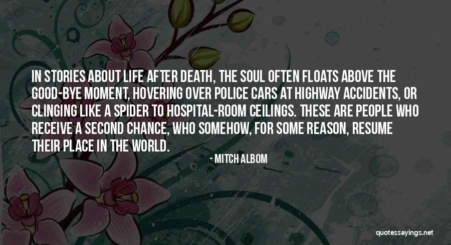 Police Life Quotes By Mitch Albom Police Life Quotes By Mitch Albom