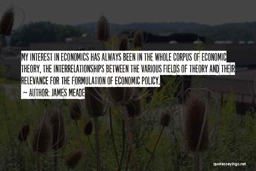 Policy Formulation Quotes By James Meade
