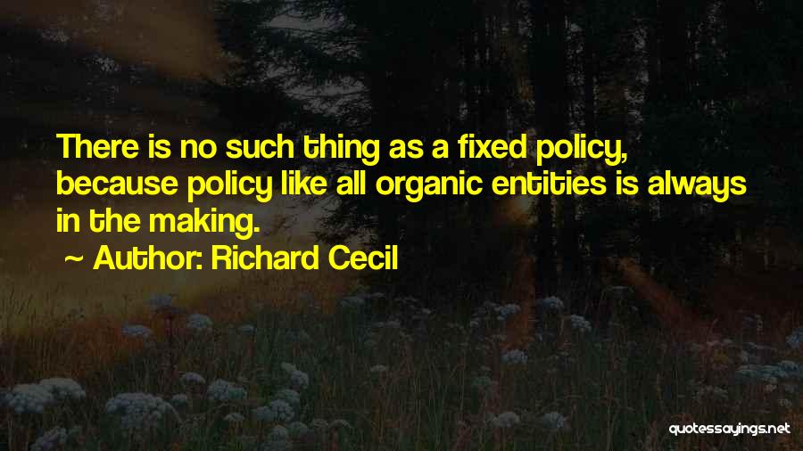 Policy Making Quotes By Richard Cecil