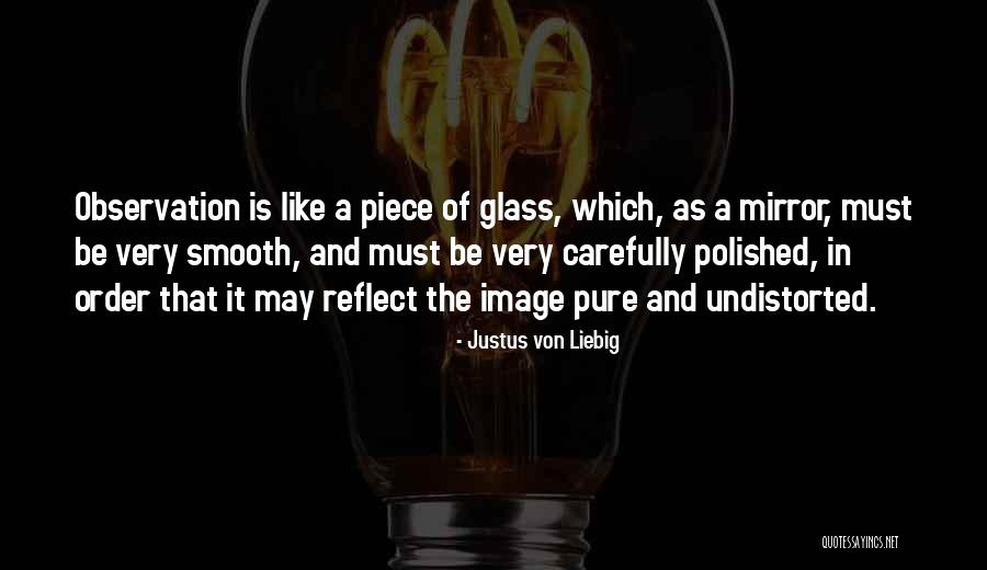 Polished Mirror Quotes By Justus Von Liebig Polished Mirror Quotes By Justus Von Liebig