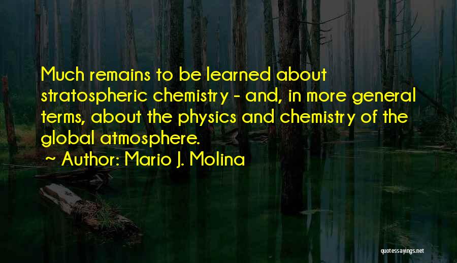 Polistina Associates Quotes By Mario J. Molina