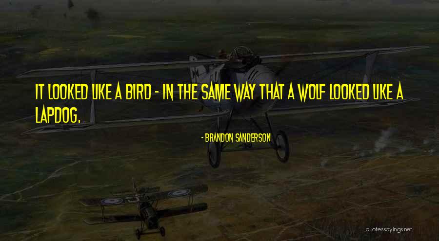 Politcal Correctness Quotes By Brandon Sanderson Politcal Correctness Quotes By Brandon Sanderson