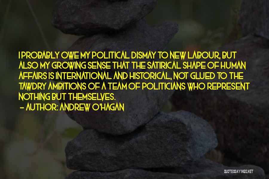 Political Ambitions Quotes By Andrew O'Hagan