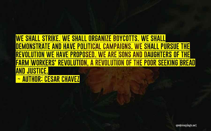 Political Campaigns Quotes By Cesar Chavez