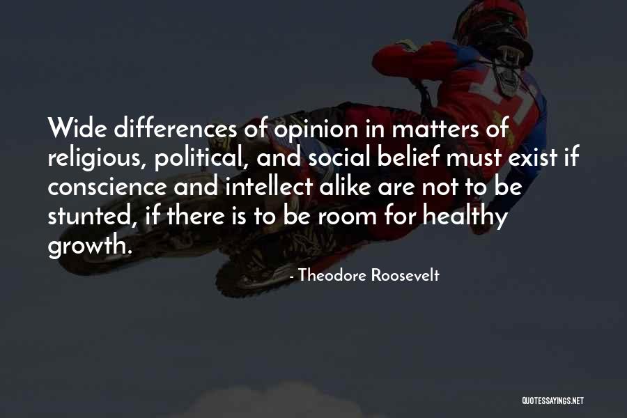Political Conscience Quotes By Theodore Roosevelt Political Conscience Quotes By Theodore Roosevelt