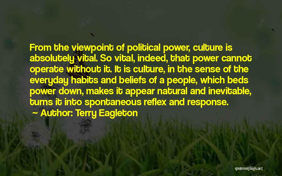 Political Culture Quotes By Terry Eagleton