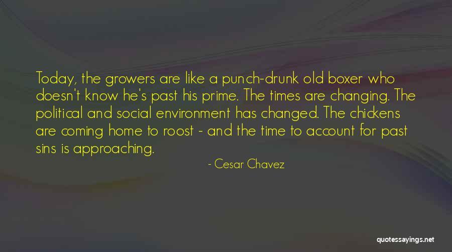 Political Environment Quotes By Cesar Chavez Political Environment Quotes By Cesar Chavez