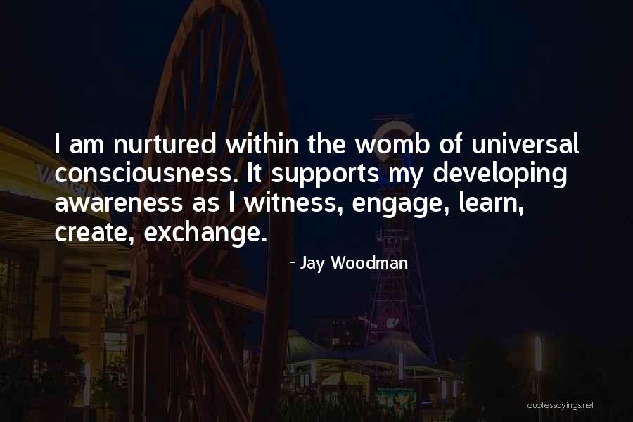 Political Indecision Quotes By Jay Woodman Political Indecision Quotes By Jay Woodman