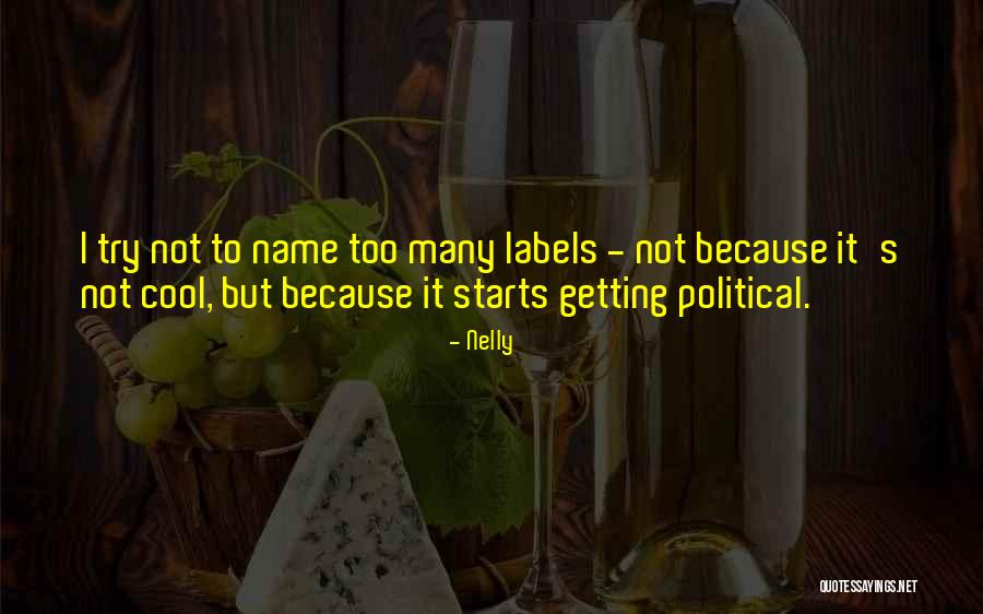 Political Labels Quotes By Nelly Political Labels Quotes By Nelly