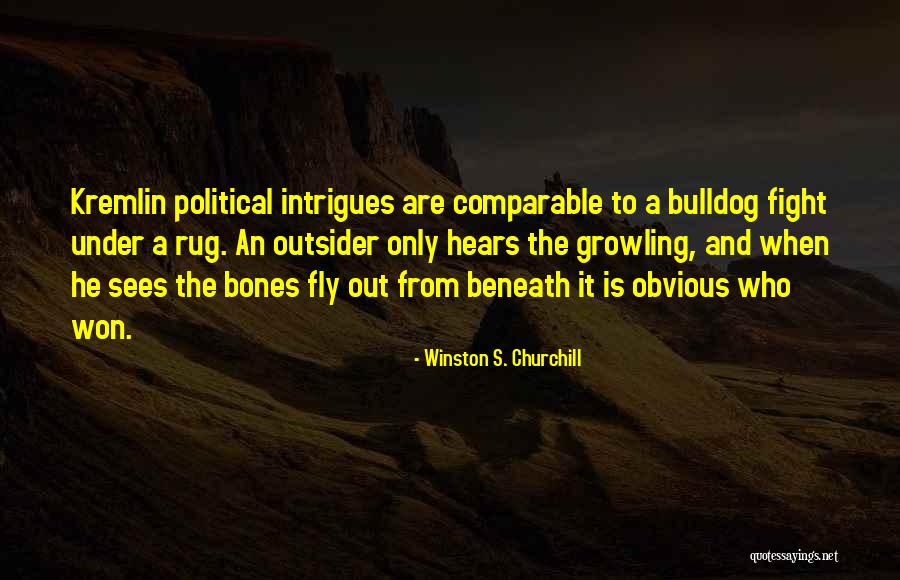 Political Outsider Quotes By Winston S. Churchill