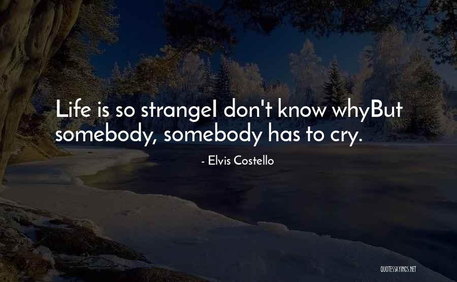 Political Phrases Quotes By Elvis Costello