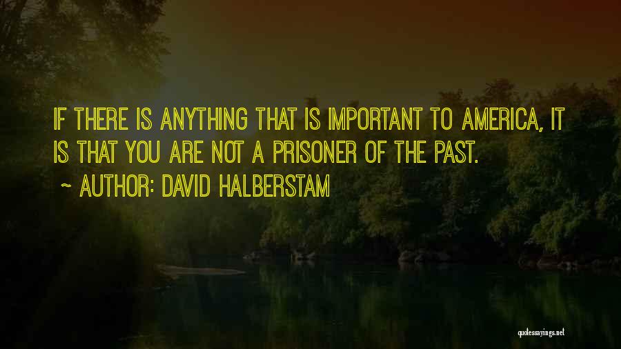Political Prisoner Quotes By David Halberstam