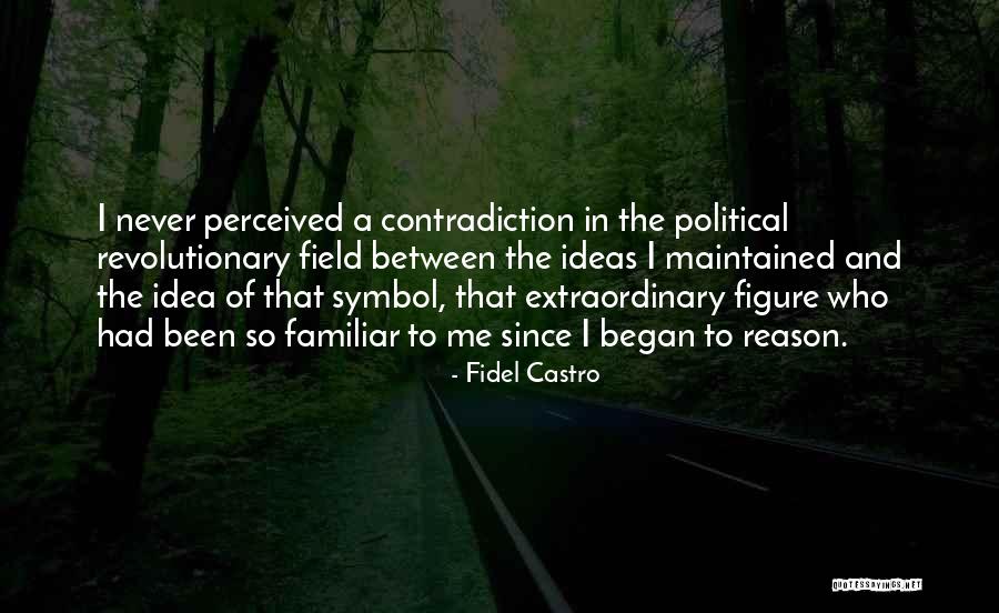 Political Revolutionary Quotes By Fidel Castro Political Revolutionary Quotes By Fidel Castro
