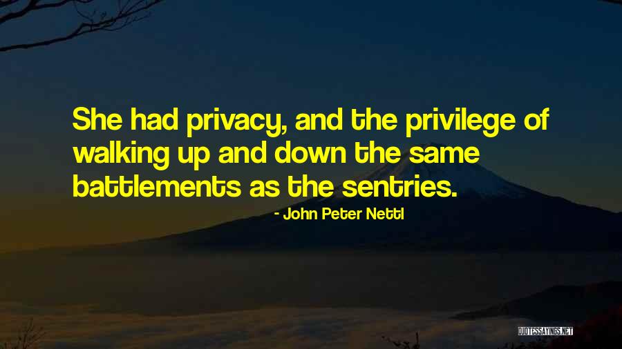 Political Science Quotes By John Peter Nettl Political Science Quotes By John Peter Nettl