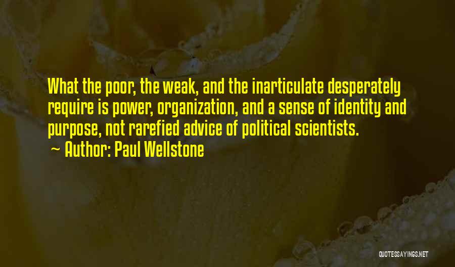 Political Scientists Quotes By Paul Wellstone