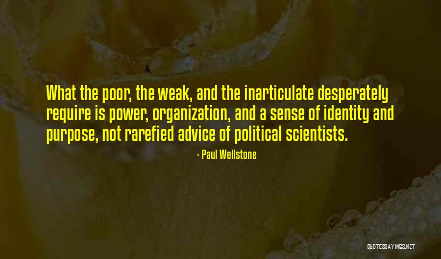 Political Scientists Quotes By Paul Wellstone