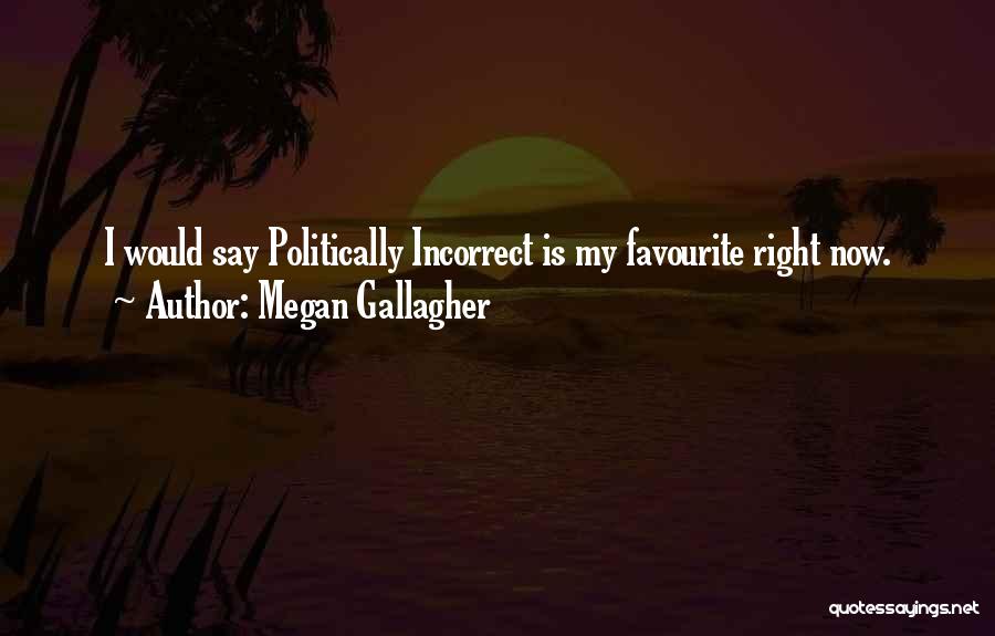 Politically Incorrect Quotes By Megan Gallagher