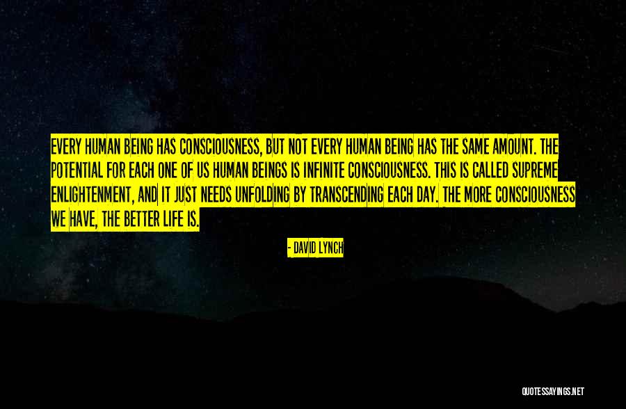 Politicamente Incorreto Quotes By David Lynch Politicamente Incorreto Quotes By David Lynch