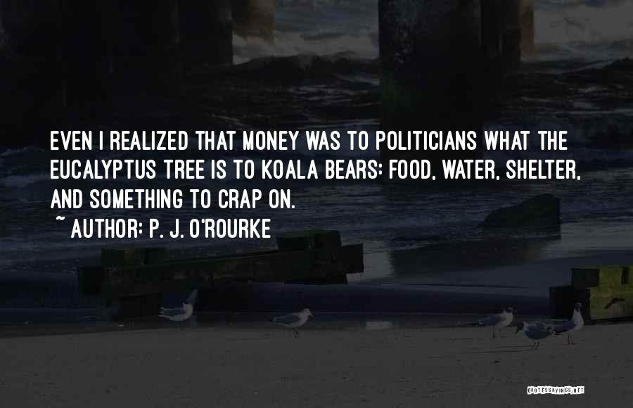Politicians And Money Quotes By P. J. O'Rourke