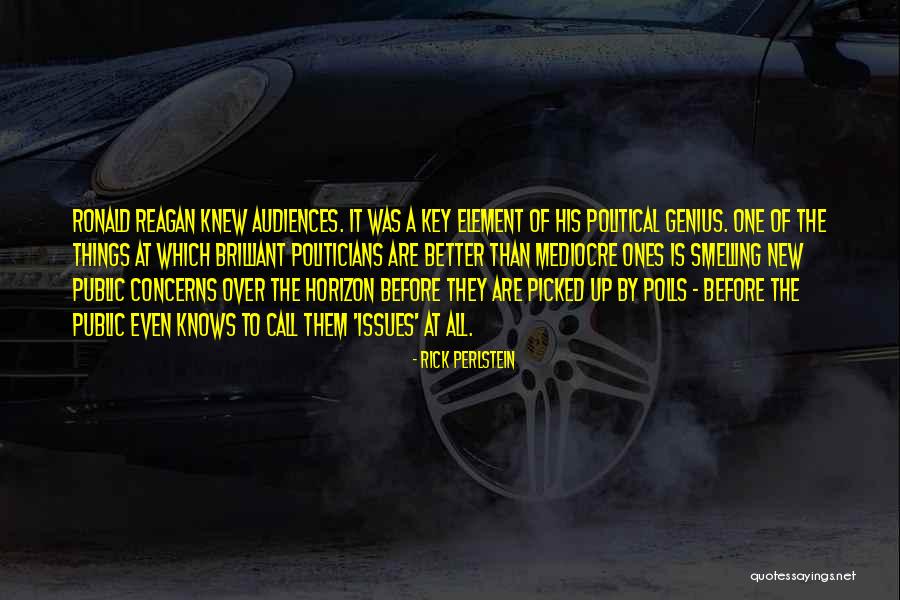 Politicians Are Quotes By Rick Perlstein Politicians Are Quotes By Rick Perlstein