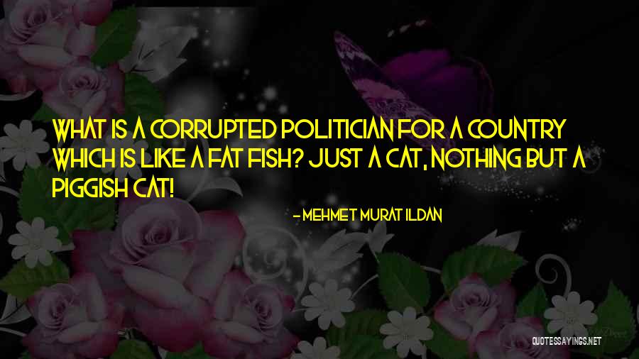 Politicians Quotations Quotes By Mehmet Murat Ildan Politicians Quotations Quotes By Mehmet Murat Ildan