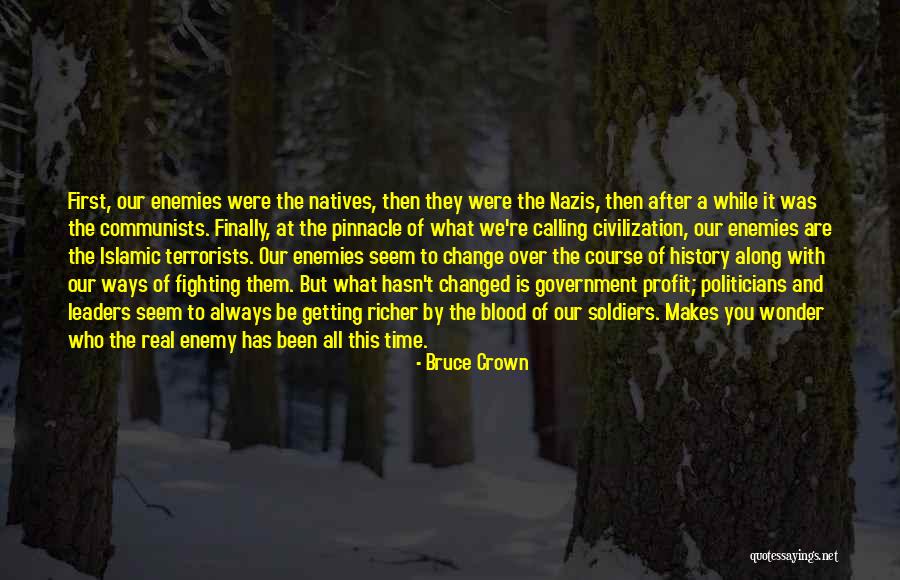 Politics And Corruption Quotes By Bruce Crown