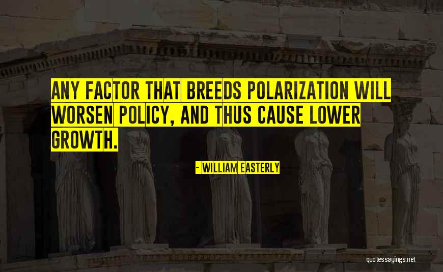 Politics And Corruption Quotes By William Easterly