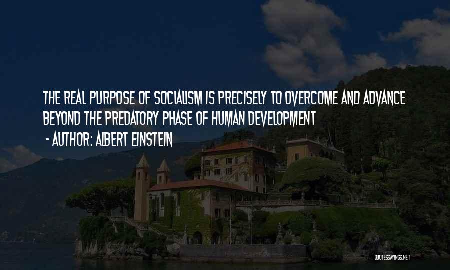 Politics And Development Quotes By Albert Einstein