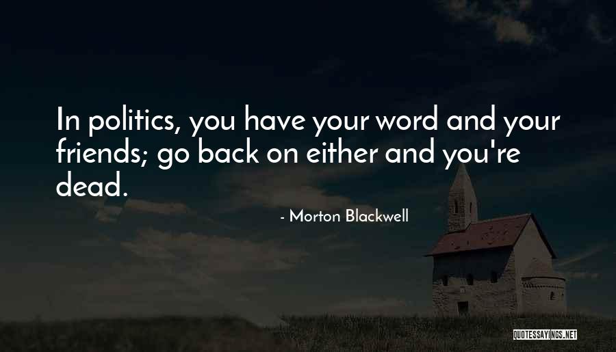 Politics And Friendship Quotes By Morton Blackwell